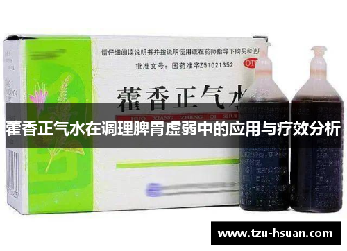 藿香正气水在调理脾胃虚弱中的应用与疗效分析