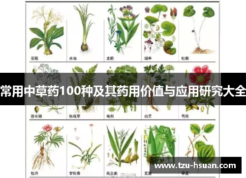 常用中草药100种及其药用价值与应用研究大全