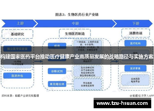 构建国家医药平台推动医疗健康产业高质量发展的战略路径与实施方案